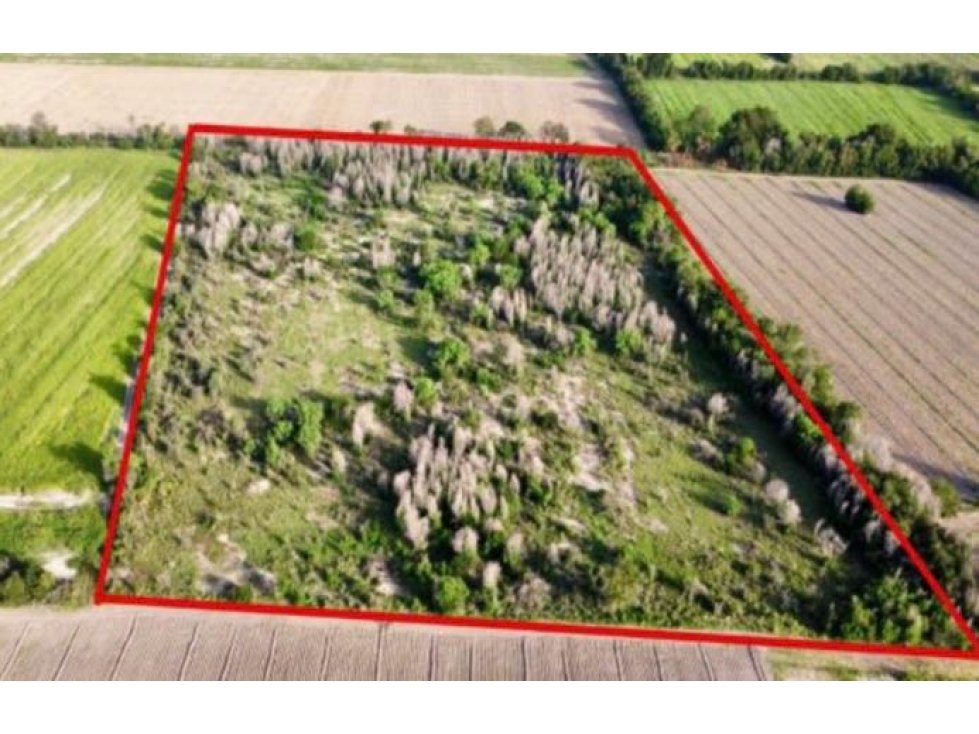 TERRENO EN VENTA LA ARENA PESQUERIA - 5