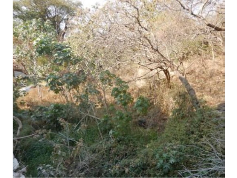 Terreno en Venta - Las Cañadas, Zapopan | 1,920 m² de Oportunidad - 1