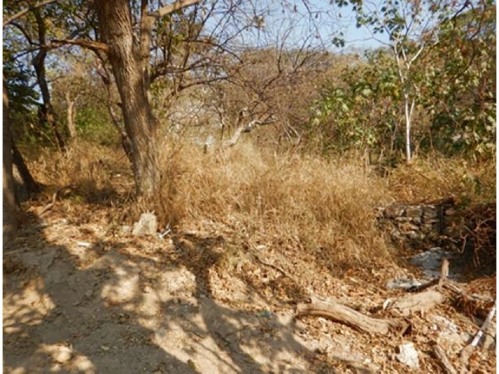 Terreno en Venta - Las Cañadas, Zapopan | 1,920 m² de Oportunidad - 5