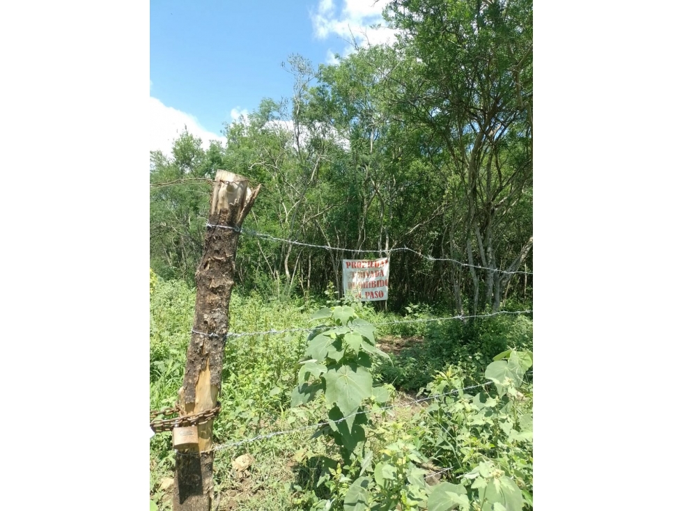 Terreno en Venta Montemorelos Sección Dr. Ballesteros - 4
