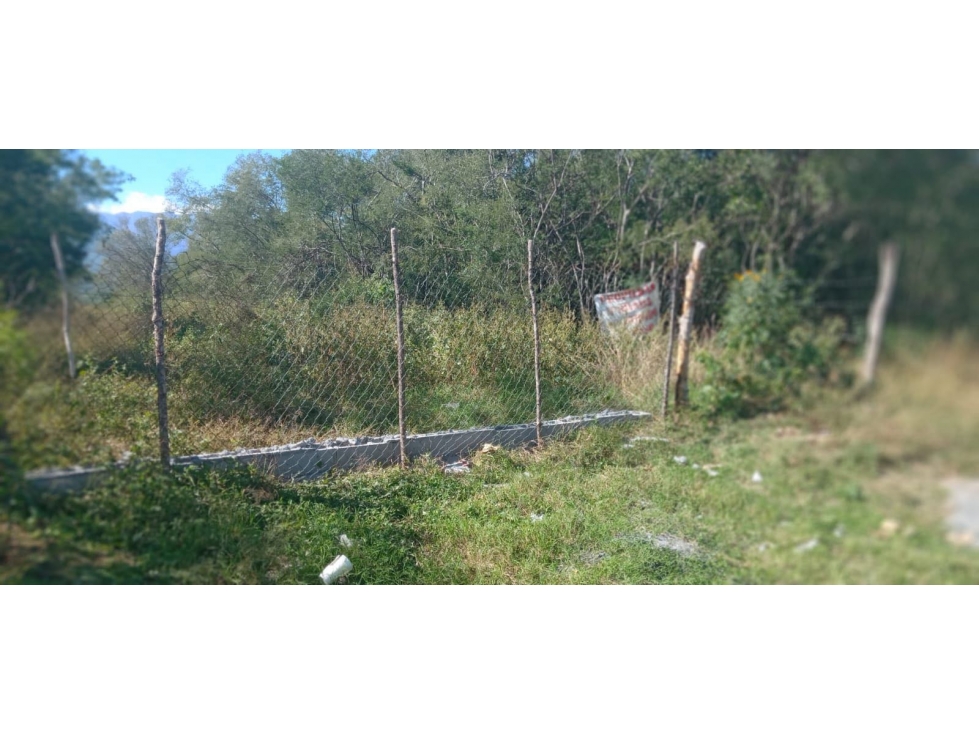 Terreno en Venta Montemorelos Sección Dr. Ballesteros - 6