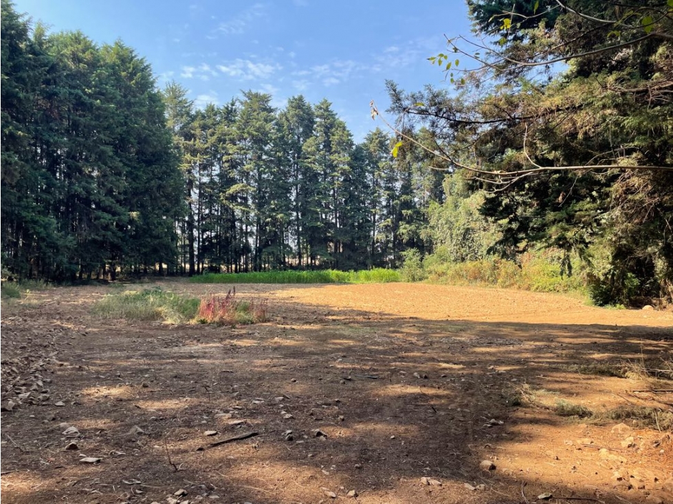 TERRENO EN VENTA || PIPIOTEPEC || VALLE DE BRAVO — foto 3