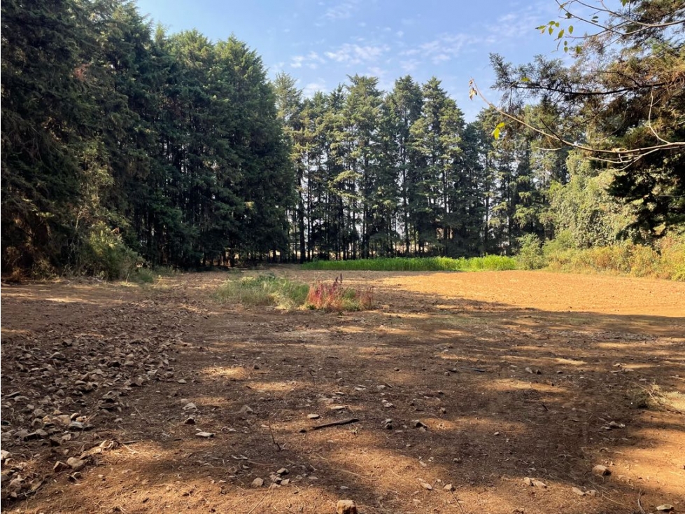TERRENO EN VENTA || PIPIOTEPEC || VALLE DE BRAVO — foto 5