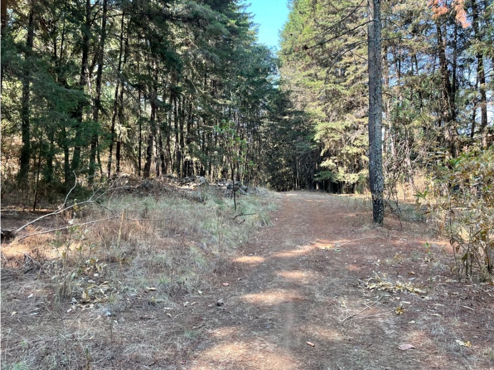 TERRENO EN VENTA || PIPIOTEPEC || VALLE DE BRAVO — foto 6