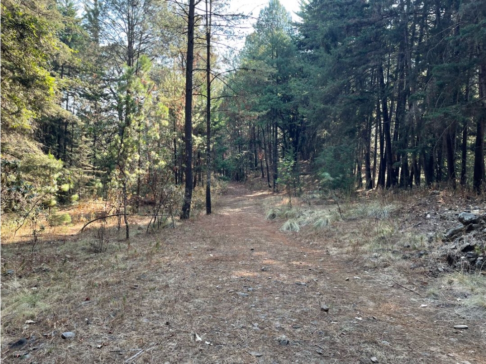 TERRENO EN VENTA || PIPIOTEPEC || VALLE DE BRAVO — foto 2