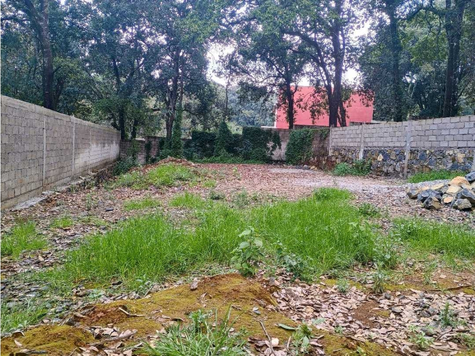 TERRENO EN VENTA PLANO Y BARDADO EN TEZONTLALPA HUITZILAC MORELOS - 2