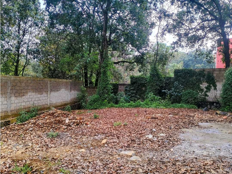 TERRENO EN VENTA PLANO Y BARDADO EN TEZONTLALPA HUITZILAC MORELOS - 4