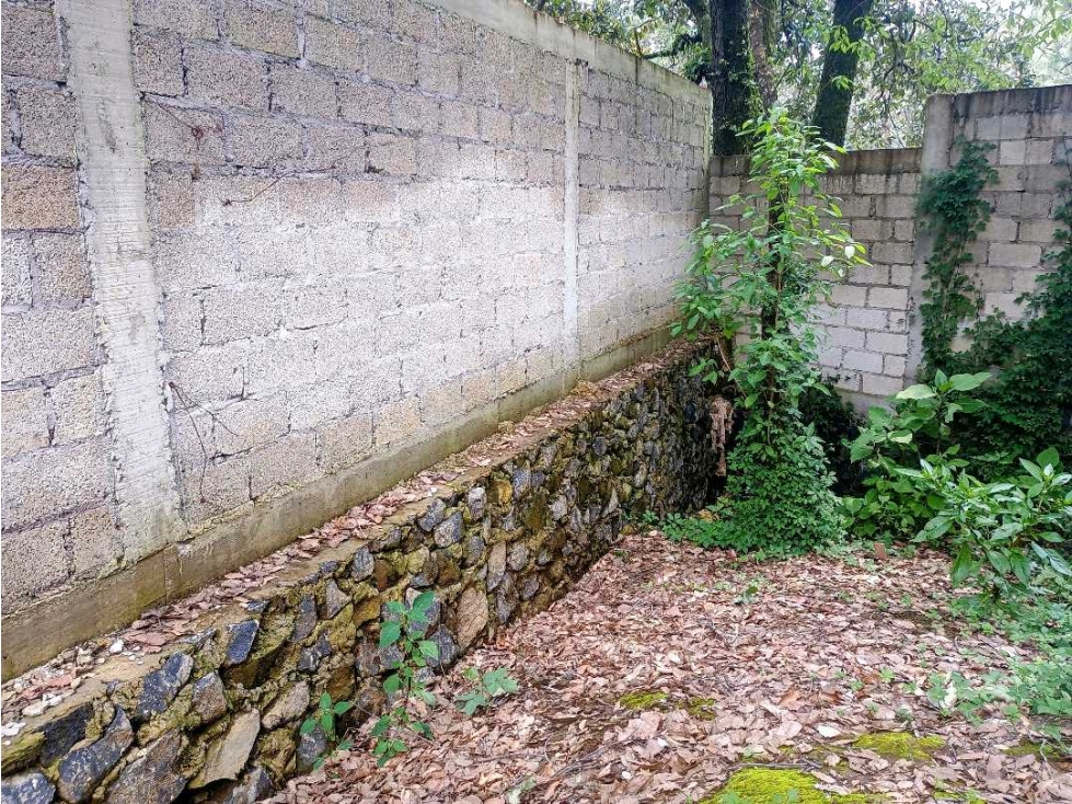 TERRENO EN VENTA PLANO Y BARDADO EN TEZONTLALPA HUITZILAC MORELOS - 5