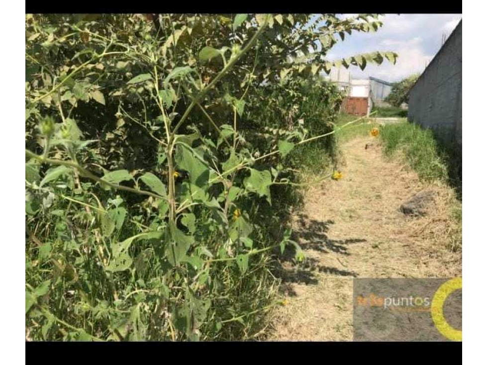 TERRENO EN VENTA SAN GASPAR JIUTEPEC (ESCRITURADO) - 2