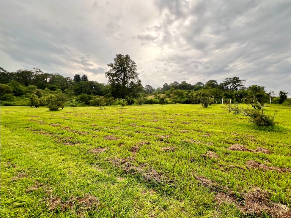 TERRENO EN VENTA, SAN JUAN ATEZCAPAN, IZAR. — foto 5