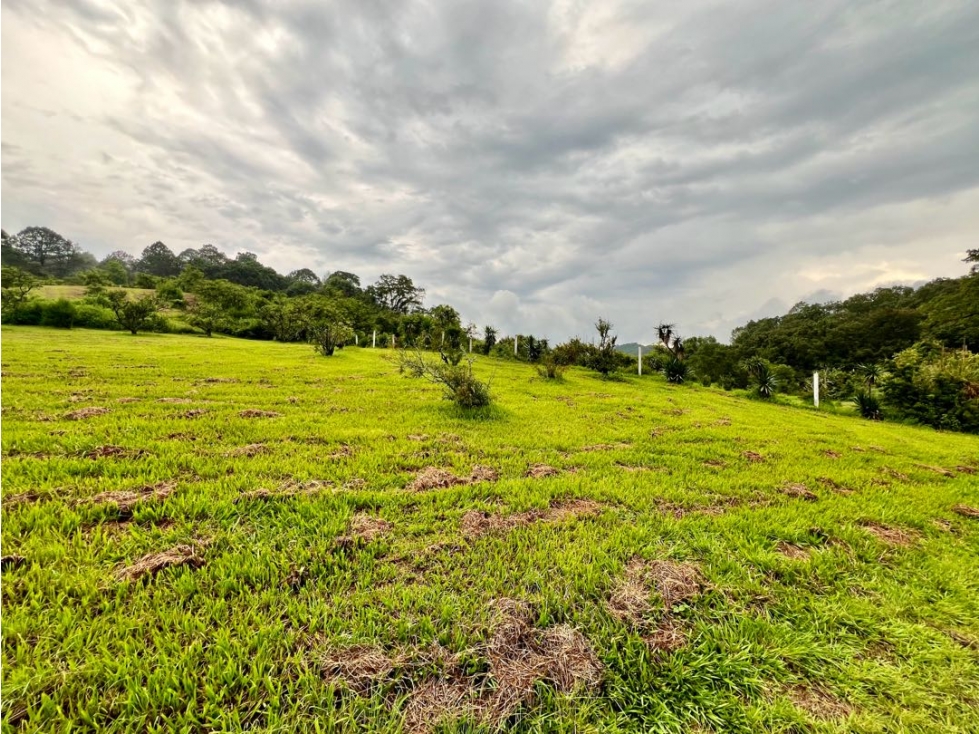 TERRENO EN VENTA, SAN JUAN ATEZCAPAN, IZAR. — foto 6