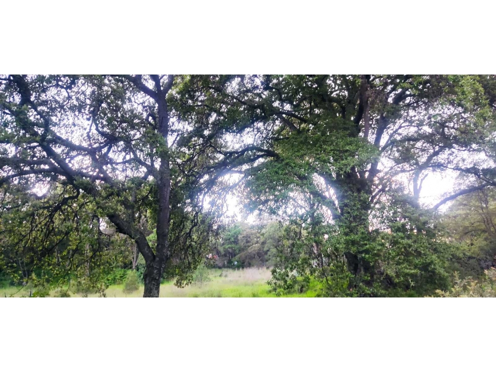 Terreno en venta Santa María Texcalac - 1