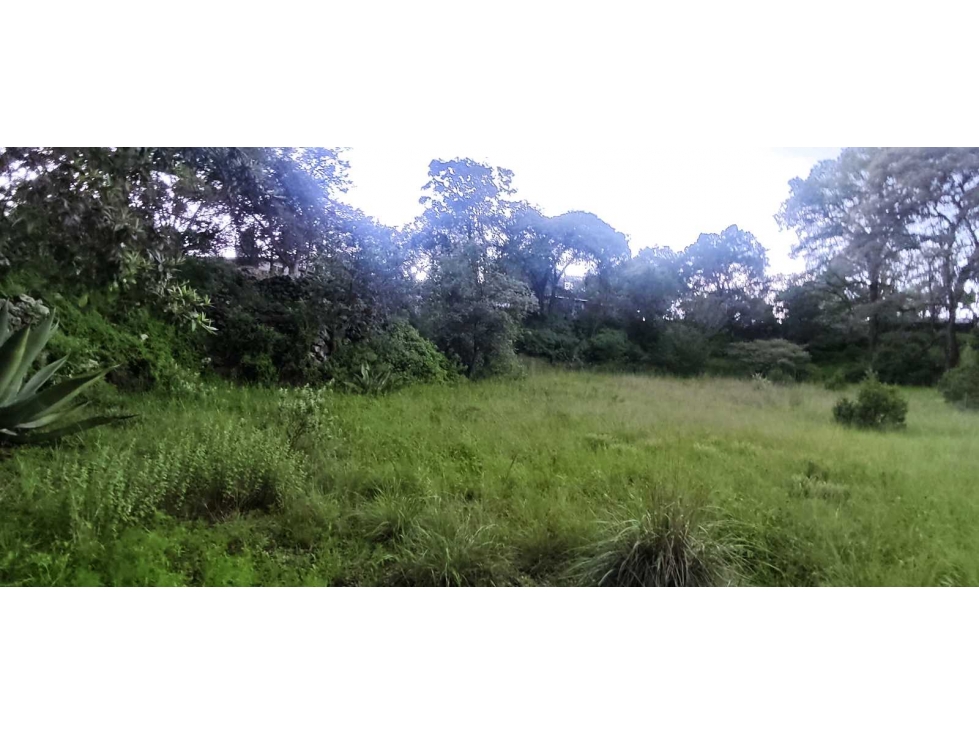 Terreno en venta Santa María Texcalac - 2