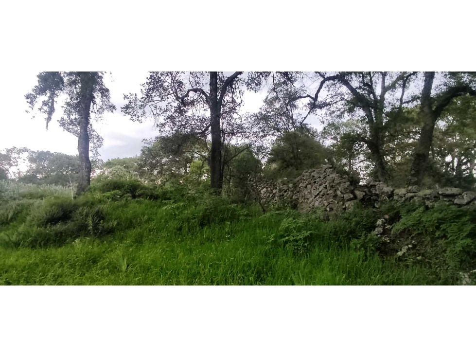 Terreno en venta Santa María Texcalac - 6