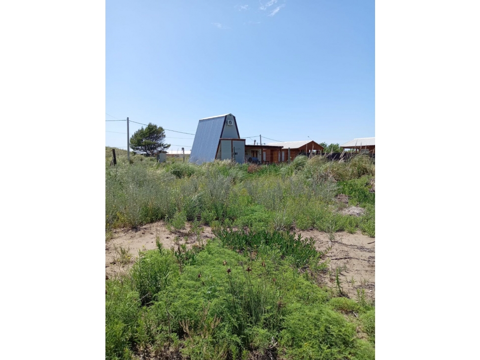 Terreno en venta - Sauce Grande — foto 3