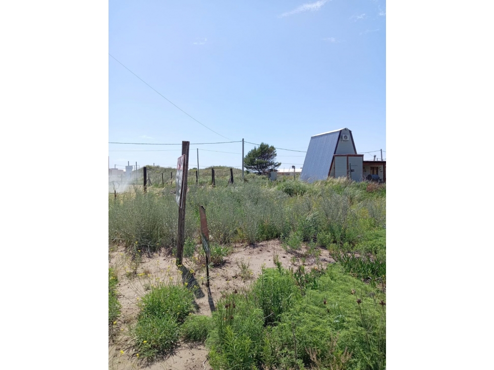 Terreno en venta - Sauce Grande — foto 5