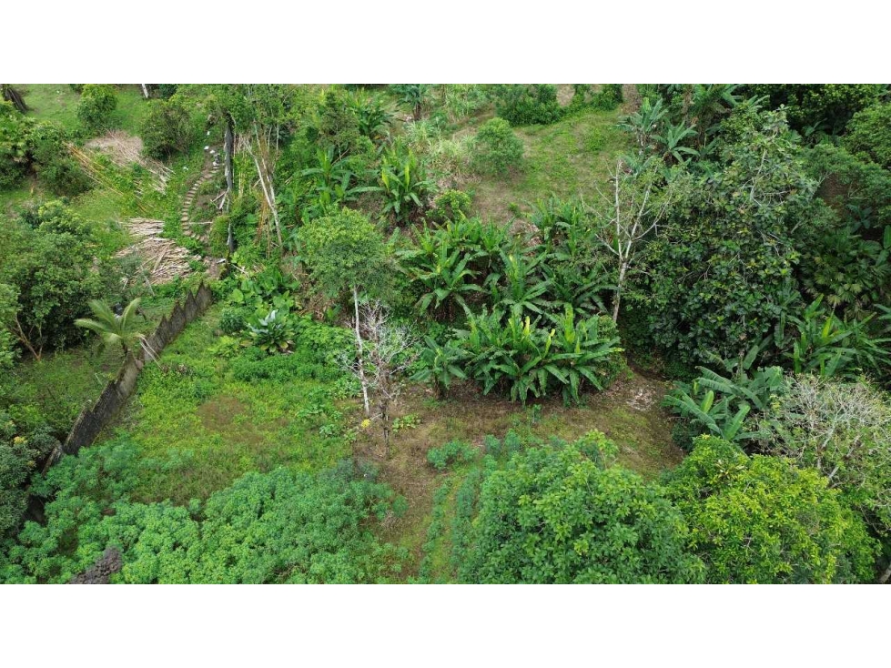 TERRENO EN VENTA, SECTOR LA LORENA EN SANTO DOMINGO, CON 5588M2 - 4