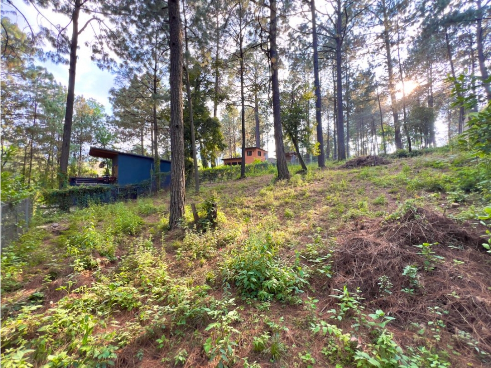 VENTA DE TERRENO EN ZONA TRANQUILA Y BUENA TOPOGRAFÍA | CERRO GORDO