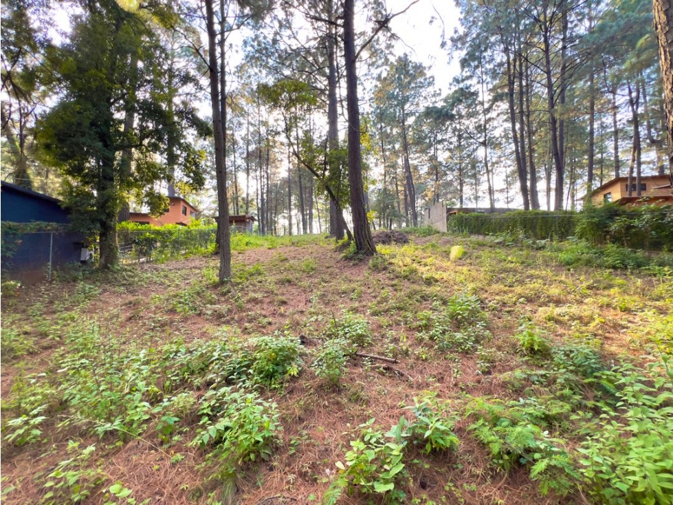 VENTA DE TERRENO EN ZONA TRANQUILA Y BUENA TOPOGRAFÍA | CERRO GORDO — foto 2