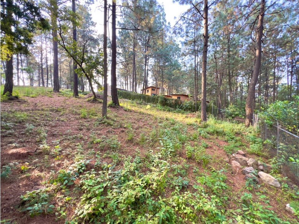 VENTA DE TERRENO EN ZONA TRANQUILA Y BUENA TOPOGRAFÍA | CERRO GORDO — foto 3