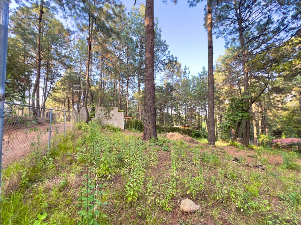 VENTA DE TERRENO EN ZONA TRANQUILA Y BUENA TOPOGRAFÍA | CERRO GORDO — foto 4