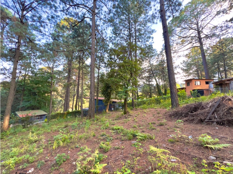 VENTA DE TERRENO EN ZONA TRANQUILA Y BUENA TOPOGRAFÍA | CERRO GORDO — foto 5