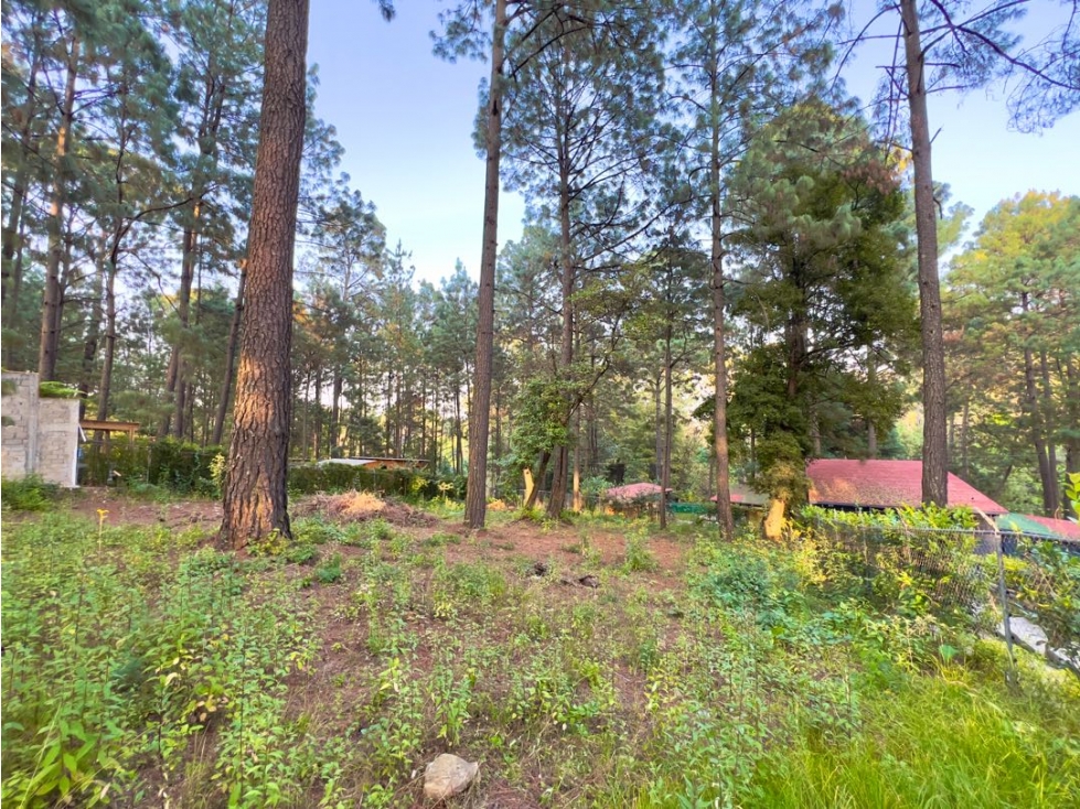 VENTA DE TERRENO EN ZONA TRANQUILA Y BUENA TOPOGRAFÍA | CERRO GORDO — foto 6