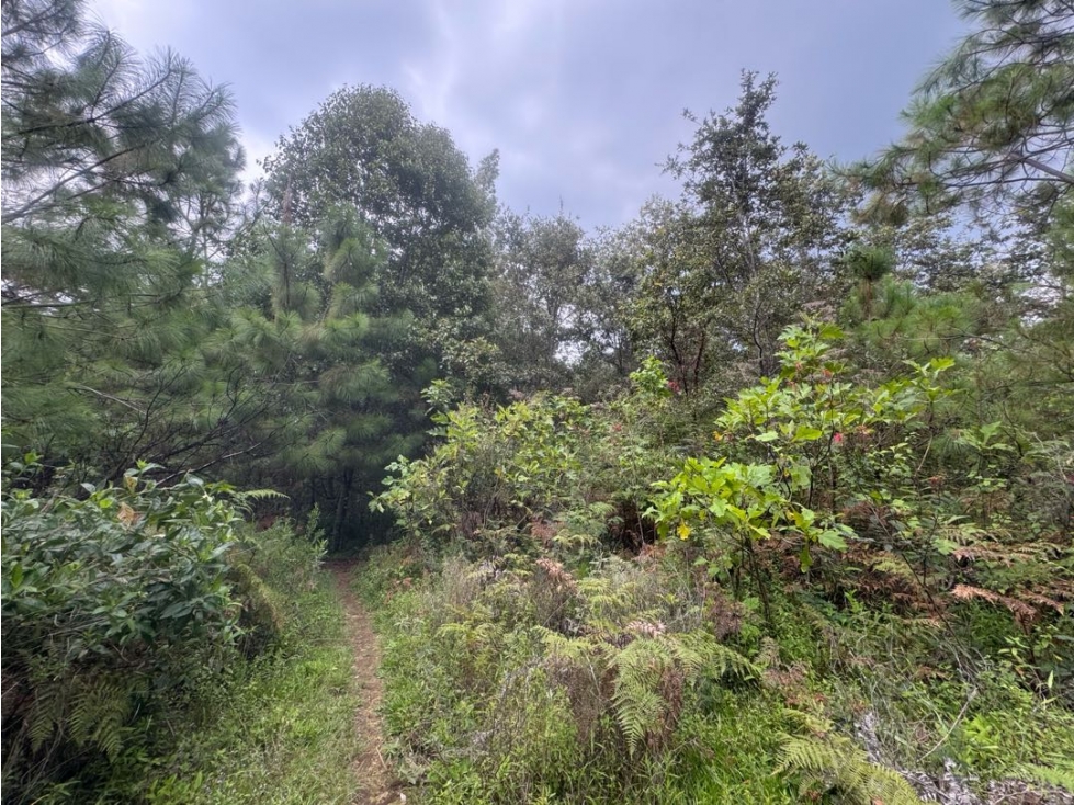 TERRENO EN VENTA || VALLE DE BRAVO - 1