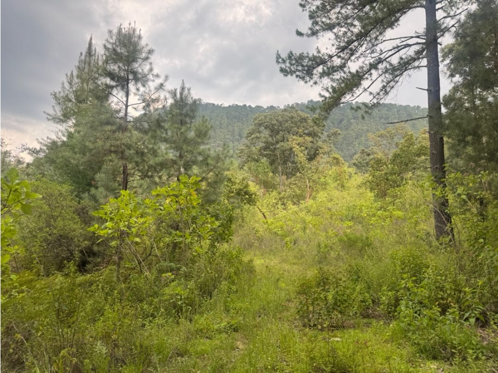 TERRENO EN VENTA || VALLE DE BRAVO - 5