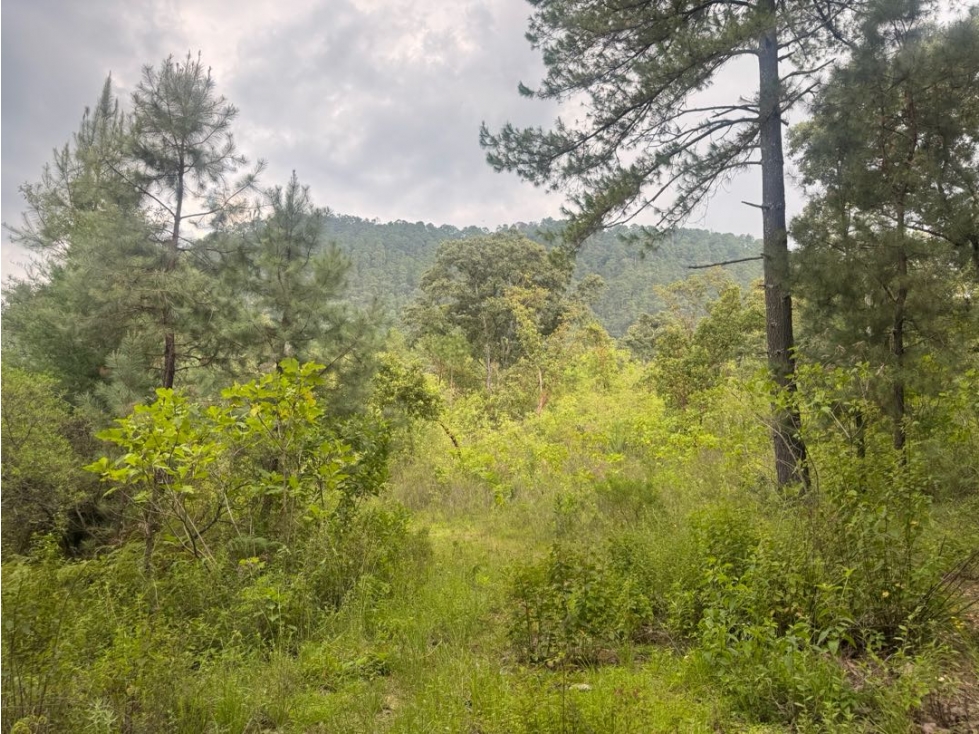 TERRENO EN VENTA || VALLE DE BRAVO - 6