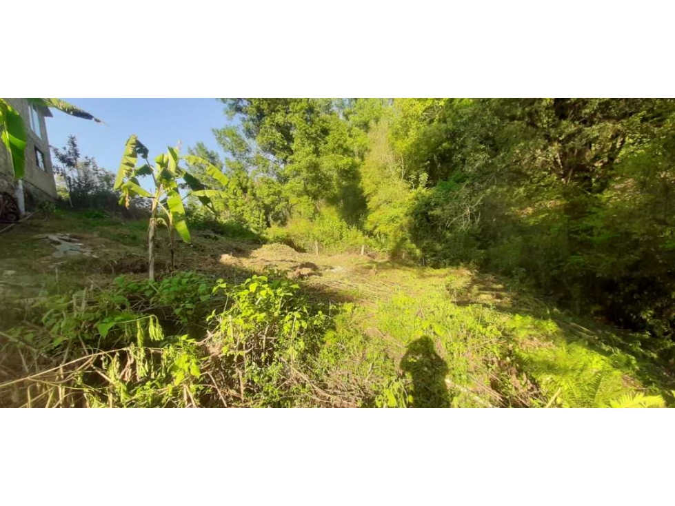 Terreno en Venta Valle de Bravo C