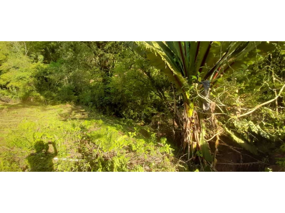 Terreno en Venta Valle de Bravo C — foto 3