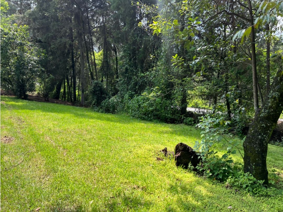 TERRENO EN VENTA, MESA DE JAIMES