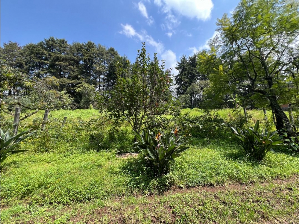 TERRENO EN VENTA, MESA DE JAIMES — foto 3
