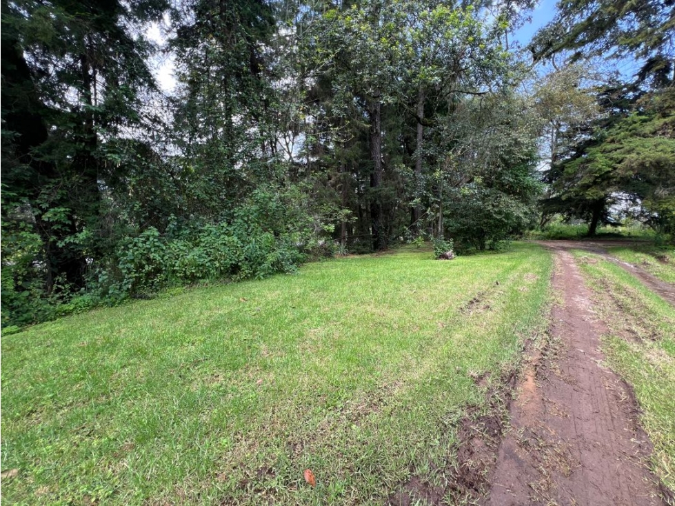 TERRENO EN VENTA, MESA DE JAIMES — foto 4