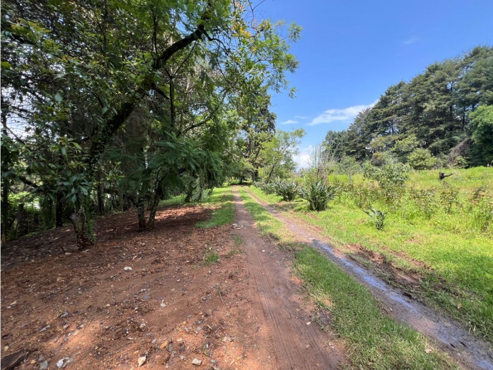 TERRENO EN VENTA, MESA DE JAIMES — foto 5