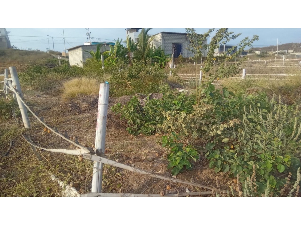 Terreno Esquinero 250 M2 en Ballenita - 3