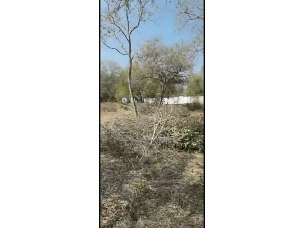OPORTUNIDAD EN VENTA TERRENO HABITACIONAL SANTIAGO -ALLENDE - 4