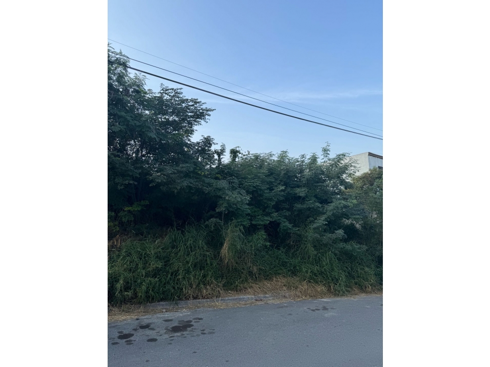 Terreno Hacienda Mitras