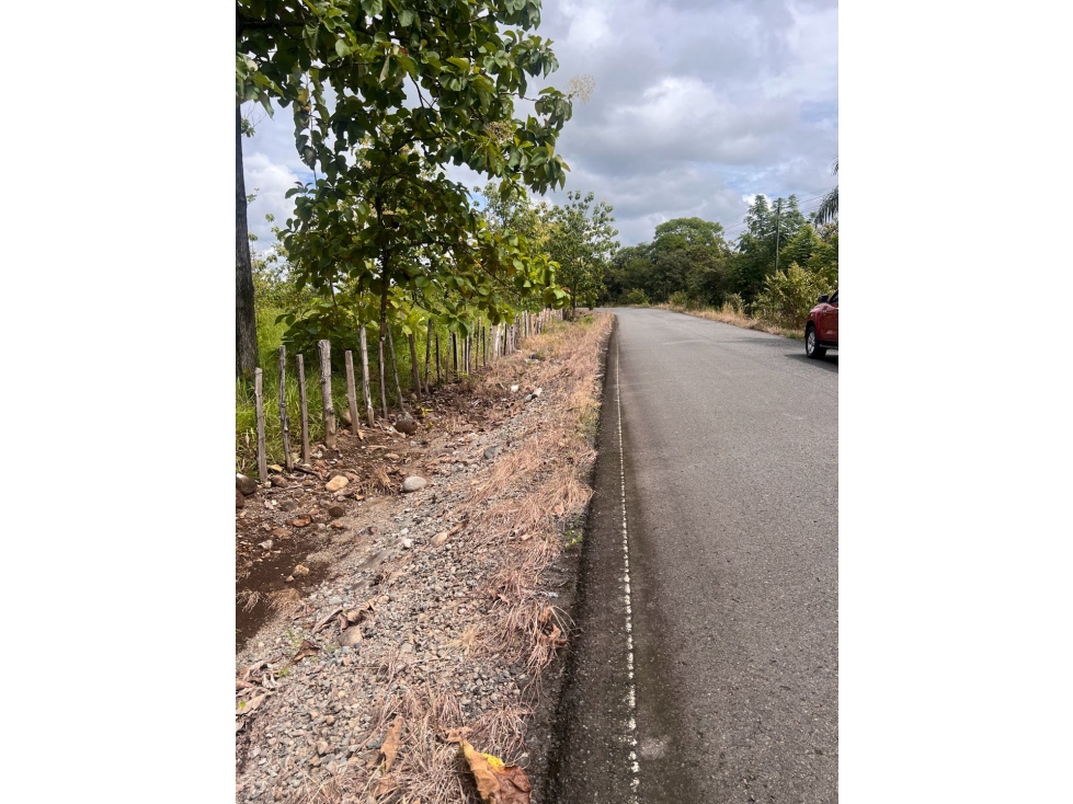 Terreno ideal para granja agrícola o desarrollo de residencia - 5