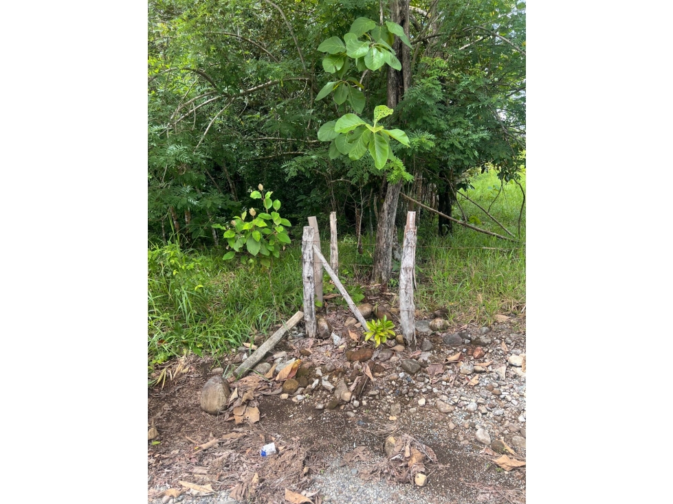 Terreno ideal para granja agrícola o desarrollo de residencia - 6