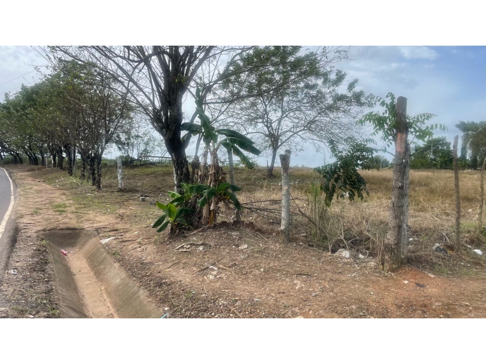 Terreno Industrial en venta en Pacora Paso Blanco - 2