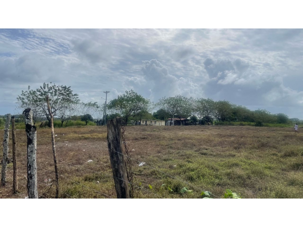 Terreno Industrial en venta en Pacora Paso Blanco - 5