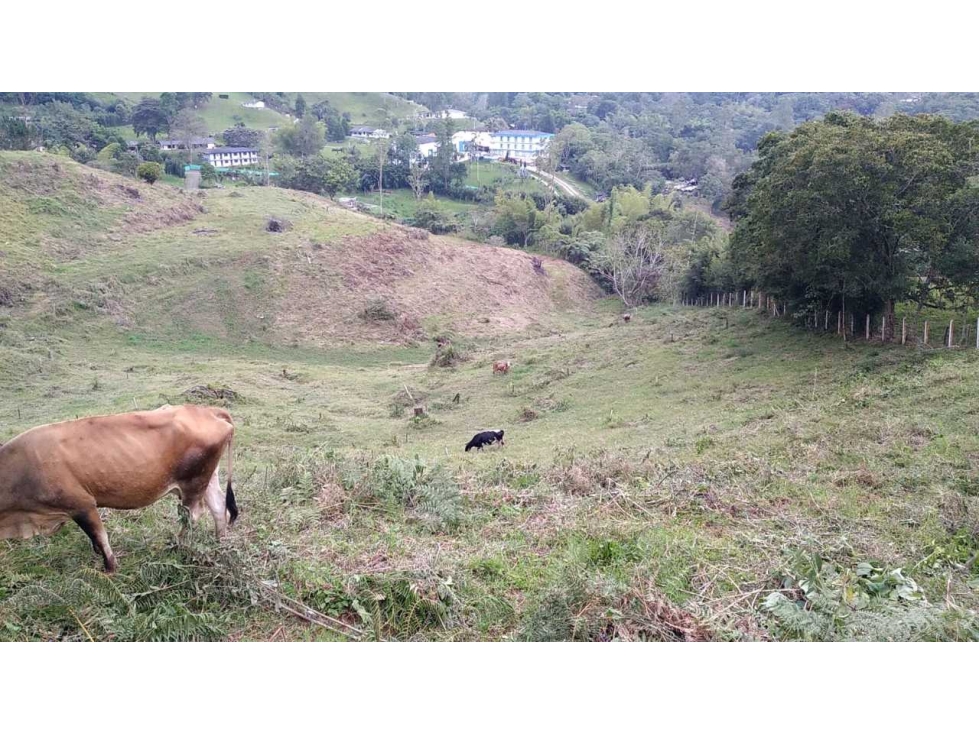 Terreno para parcelar en 18 lotes-en Km 27- orilla de vía Cali a Dagua - 2