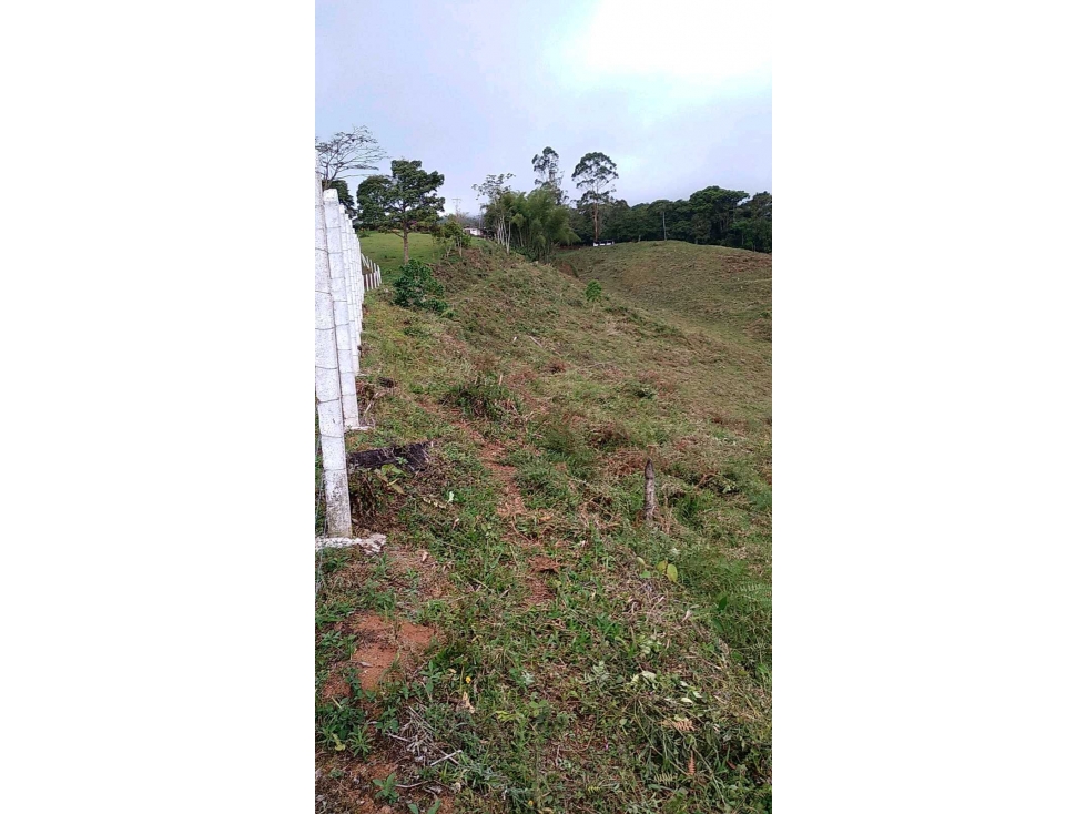 Terreno para parcelar en 18 lotes-en Km 27- orilla de vía Cali a Dagua - 5