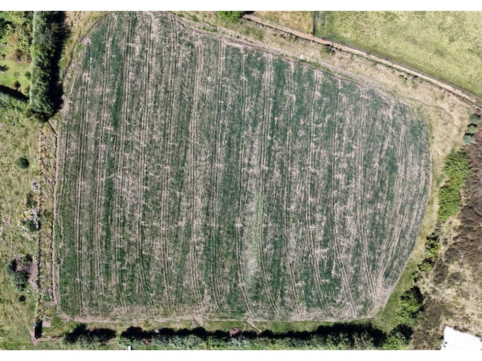 LOTE DE 1,000 M2 I VISTA PANORÁMICA I CERRO GORDO I VALLE DE BRAVO — foto 3