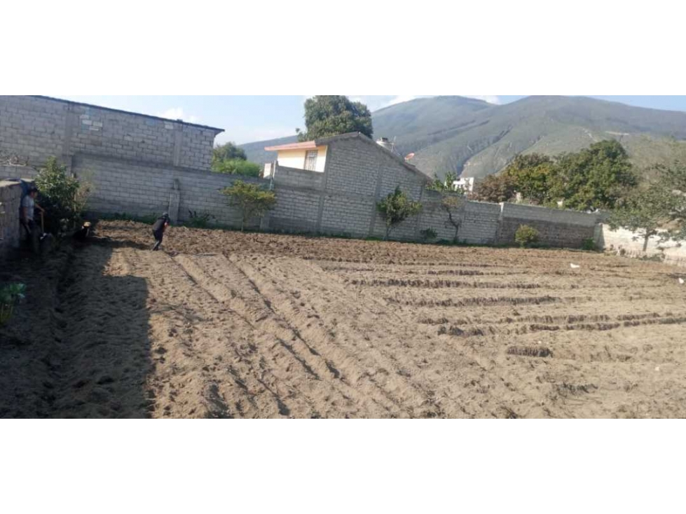 VENDO TERRENO PLANO PARA INVERSION SAN ANTONIO PICHINCHA QUITO