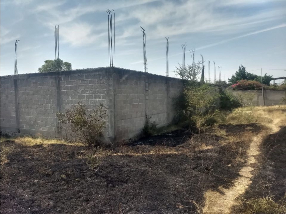 Terreno plano y bardeado en Yecapixtlla Morelos - 2
