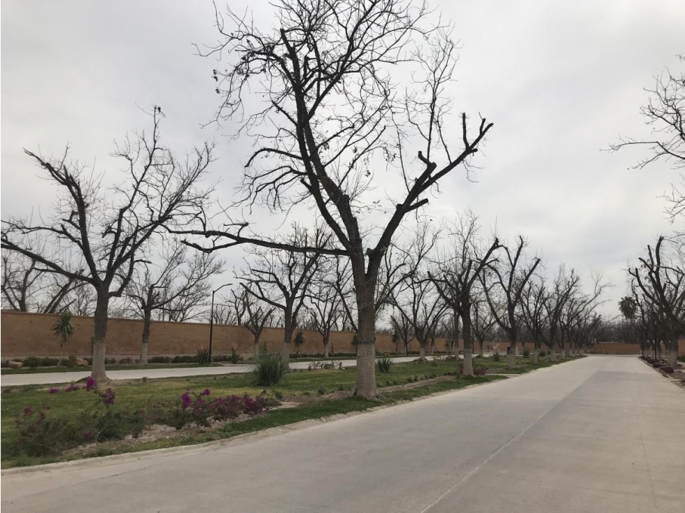Terreno Residencial en Venta en La Barranca, Torreón - 4