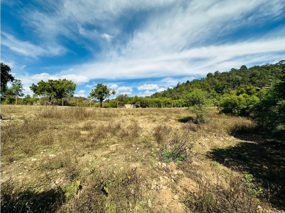 Terreno Rincón Acatitlan L2 — foto 4
